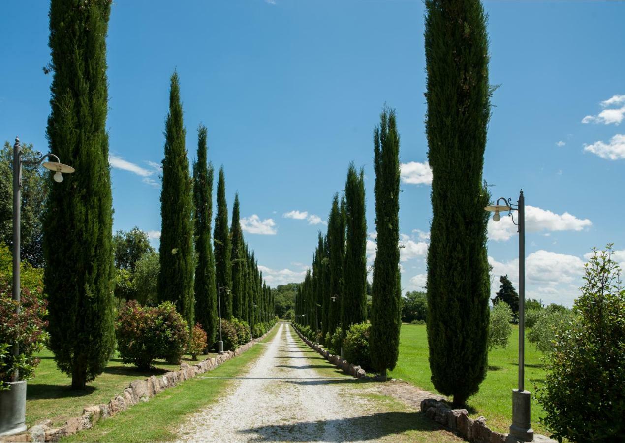 Villa Casa Viale Dei Cipressi Sovicille Exterior foto